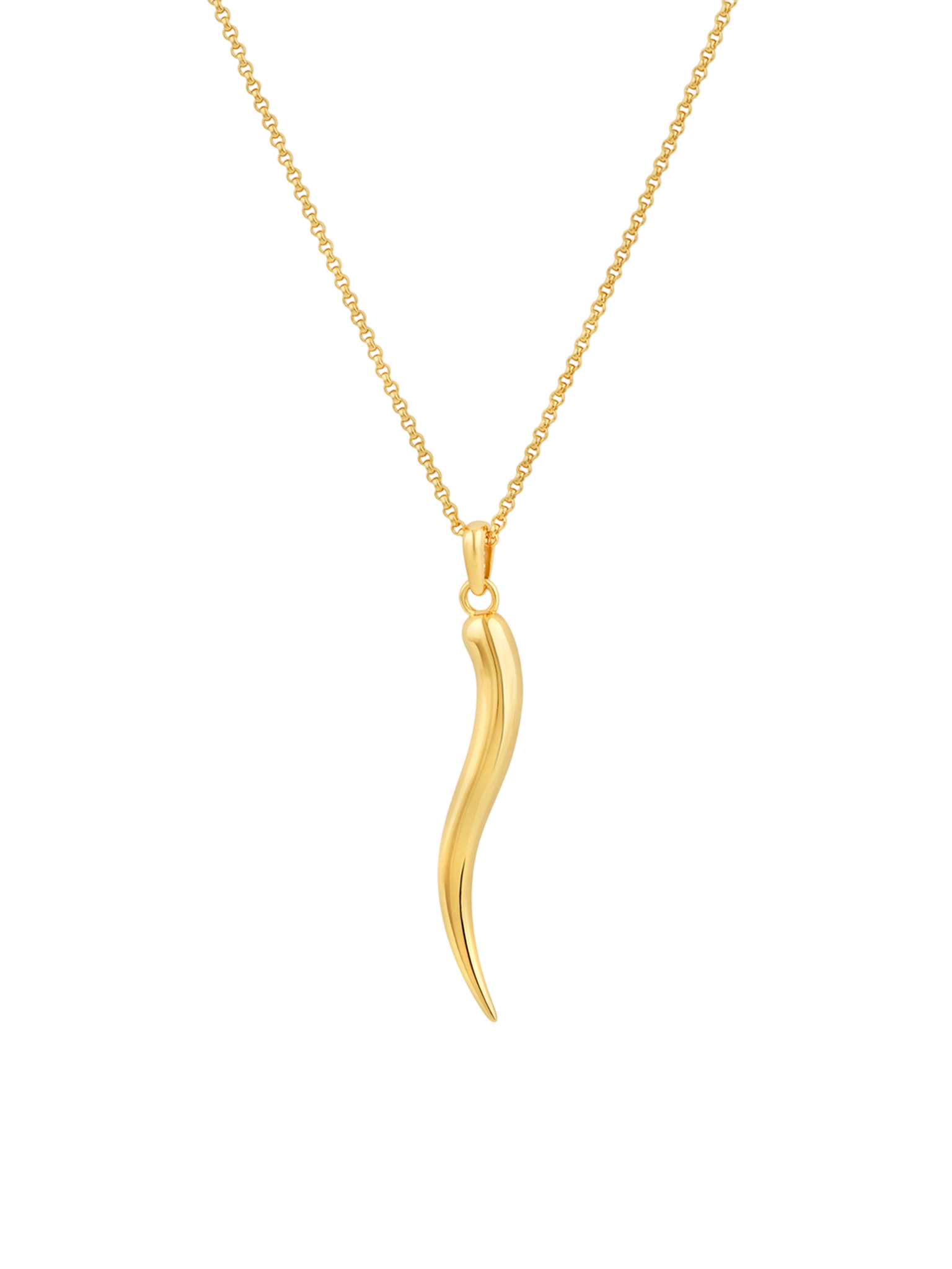 Toro horn pendant